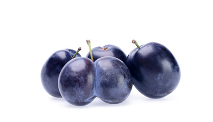 Plum
