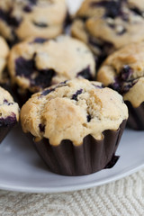 Blueberry muffins