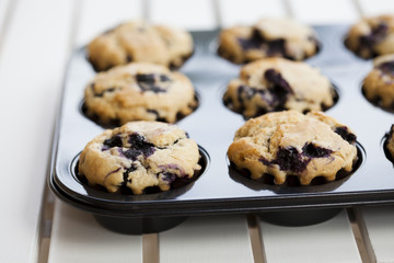 Blueberry muffins
