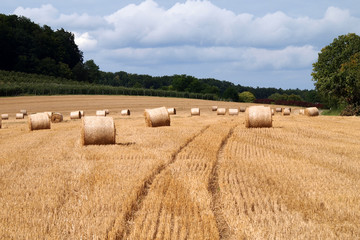 Strohrollen auf Stoppelfeld
