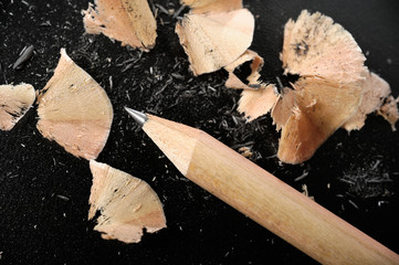 Sharpened pencil and wood shavings