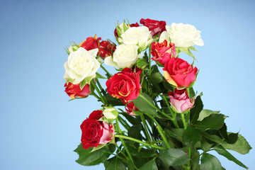 Bouquet of beautiful roses on blue background close-up