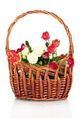 Fototapeta na wymiar Bouquet of beautiful roses in a wicker basket isolated on white