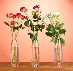 Beautiful roses in glass vases on red background close-up