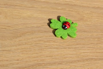 kleeblatt mit marienkäfer