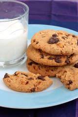 Chocolate Cookies With Milk