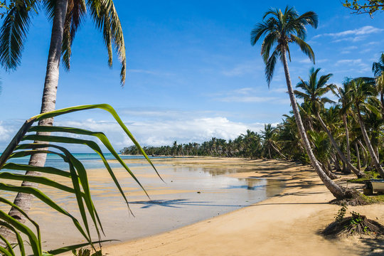 Sainte Marie Island