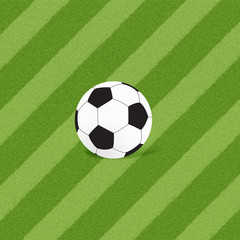 Football soccer on grass background