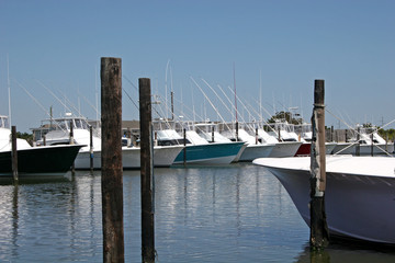 Fishing boats