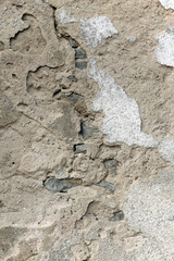Schäden an Hauswand