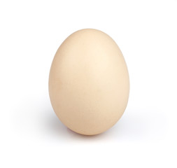 Egg in the shell