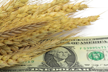 dollar in korn