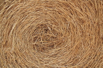 Rundballen aus Stroh