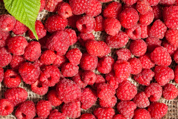 scattered ripe raspberries