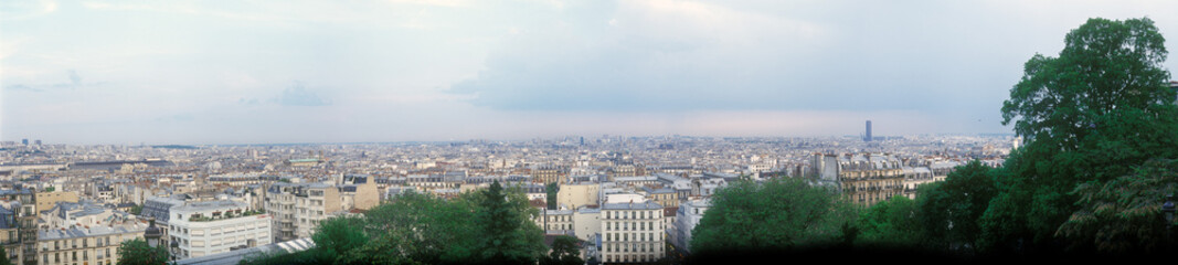 Fototapeta premium Panoramic view of Paris.