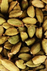 green cardamom close-up