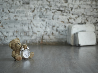 teddytime