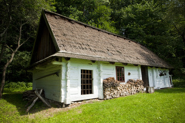 Fototapeta na wymiar Traditional wooden house