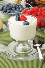 Vanilla yogurt with fresh berries