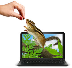 Hand feeds animal from laptop