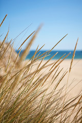 beautiful deserted beach