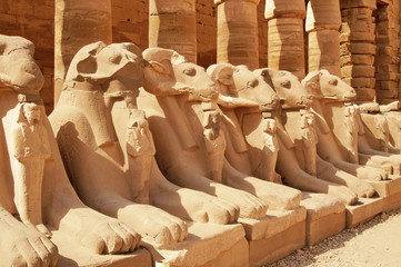 Ancient statues in the Karnak Temple, Luxor