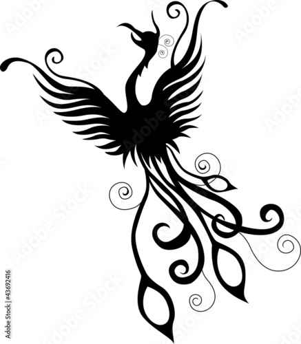 "silhouette of phoenix" Stock image and royalty-free vector files on