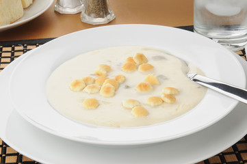 Oyster stew or seafood chowder