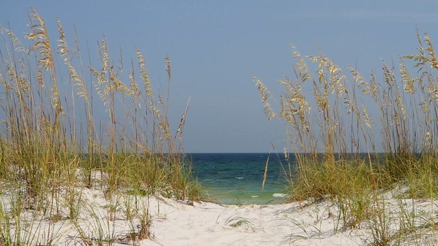 Pathway Thru Dunes