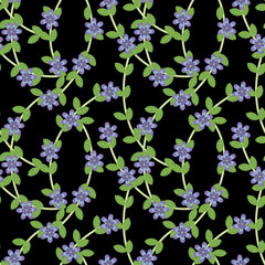 Seamless violet flowers on black backround