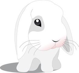 vector rabbit