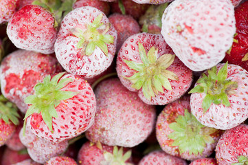 Frozen strawberries