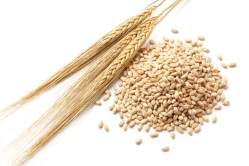 Fotobehang barley with grains © Okea