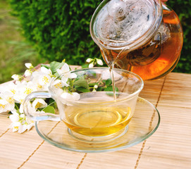 Cup of green tea with branch of jasmine