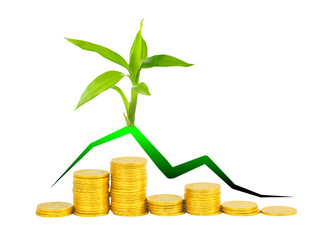 gold coins and plant isolated on white