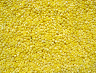 Millet close up. Background