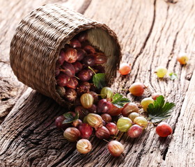 Gooseberries have dropped from the basket