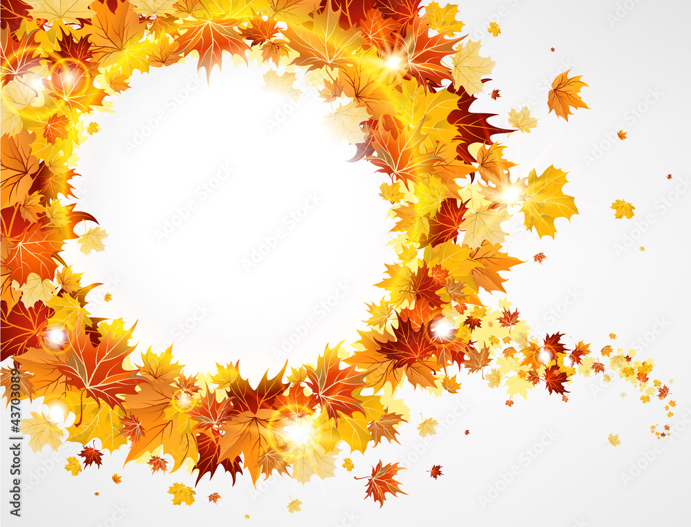 Wall mural frame with the beautiful maple leaves
