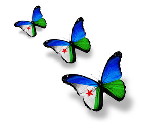 Three  Djibouti flag butterflies, isolated on white