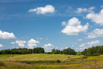 Obraz premium landscape with round bales and beautiful sky