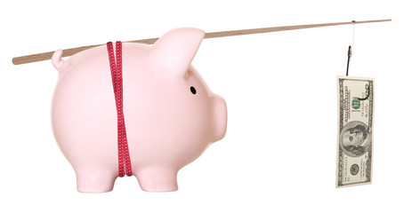 Piggy bank and hundred dollars on fishing hook