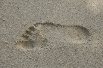 Footprint