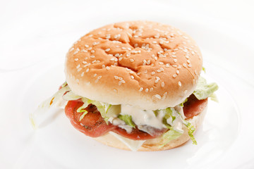 burger on the white