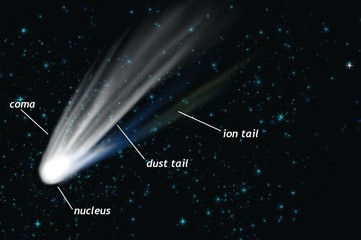 Kometa na rozgwieżdżonym niebie z opisem - obrazy, fototapety, plakaty