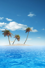 Naklejka na ściany i meble High resolution isolated exotic island with palm trees