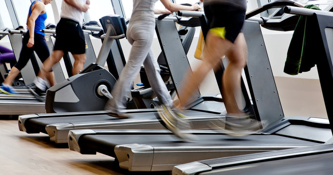 Gym shot - running machines. People exercising in a health club.