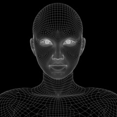 High resolution 3D wireframe human female head isolated