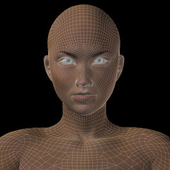 High resolution 3D wireframe human female head isolated