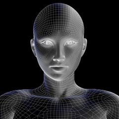 High resolution 3D wireframe human female head isolated