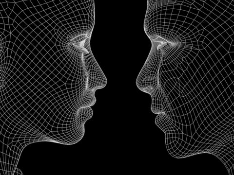High resolution 3D wireframe human male or female head isolated